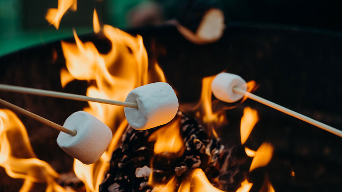 Beginner's Guide To Camping With Kids