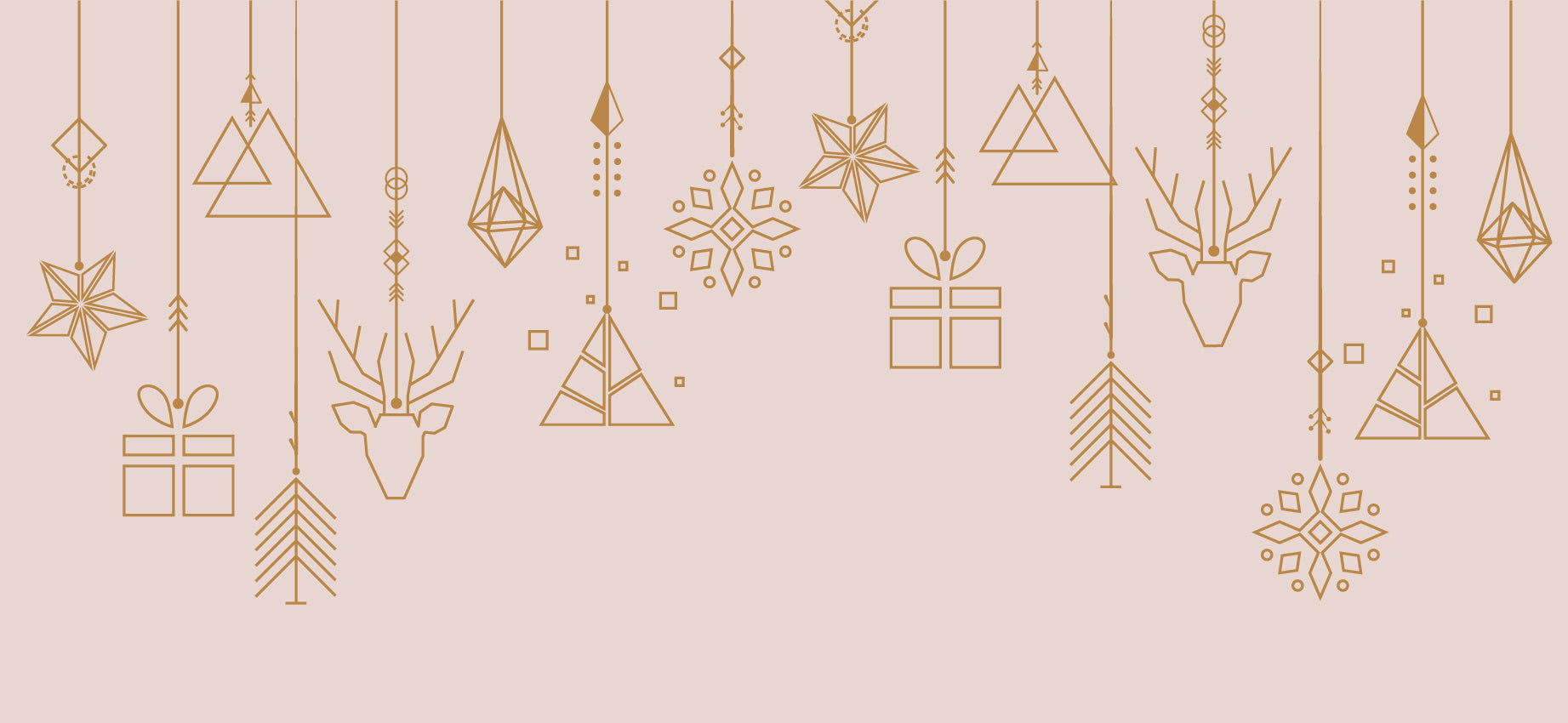 2020 Holiday Gift Guide