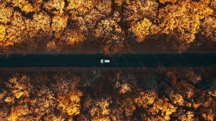 Road Tripping With Kids? No problem.